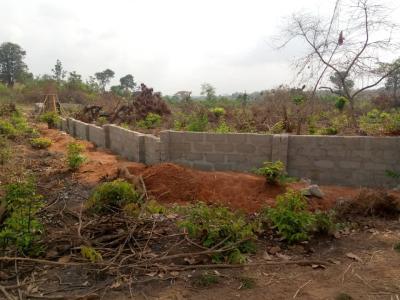 Orumba North Properties