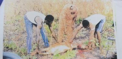 Enugwu Agidi Luxury Properties-2