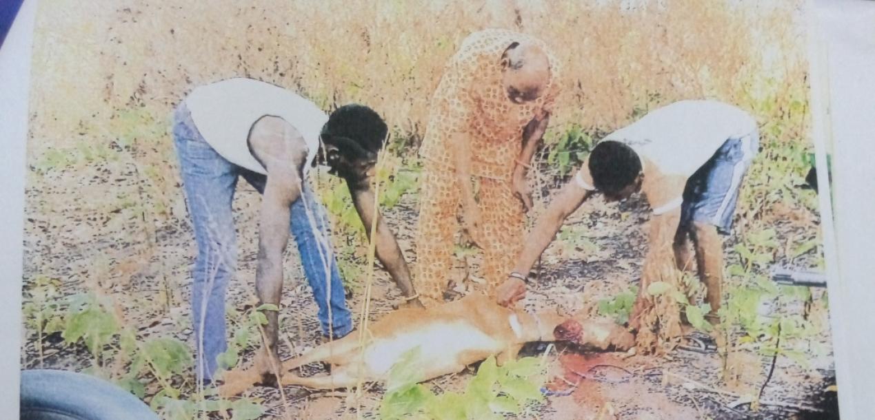 Enugwu Agidi Luxury Properties-2